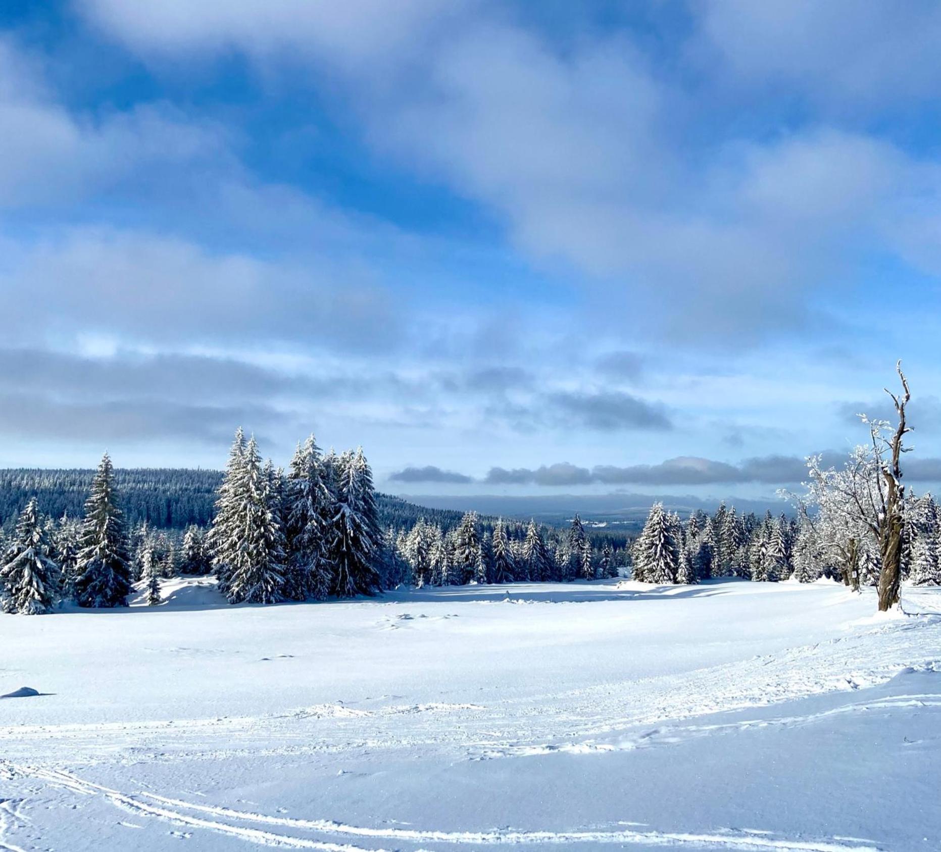 Penzion U Můstku Hřebečná Abertamy Exterior foto