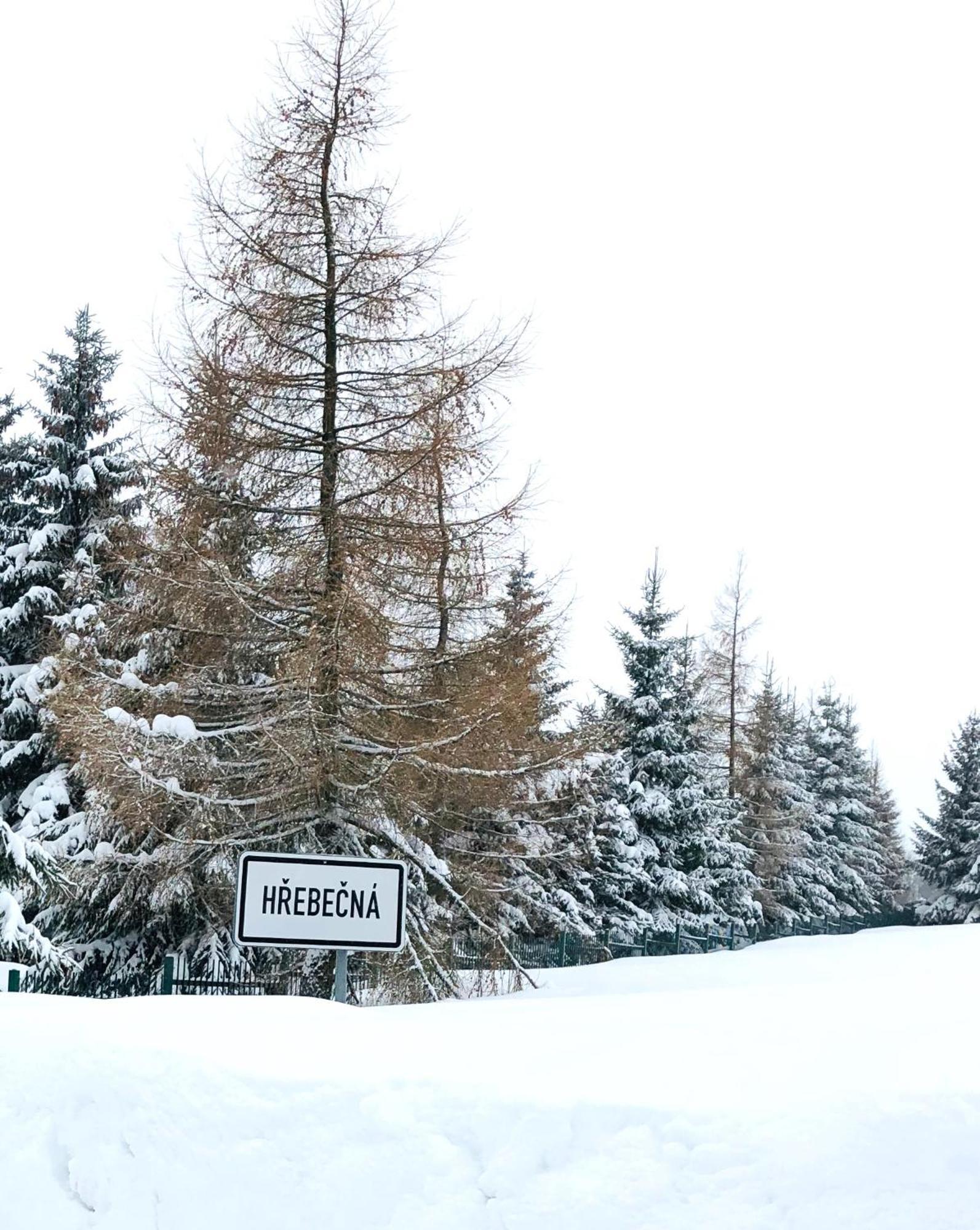 Penzion U Můstku Hřebečná Abertamy Exterior foto