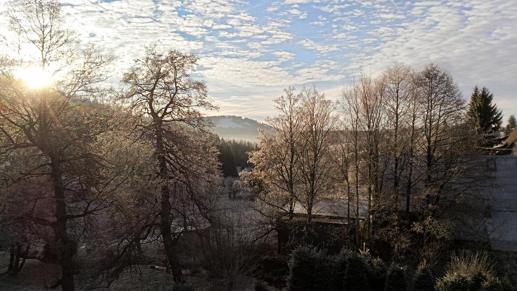 Penzion U Můstku Hřebečná Abertamy Exterior foto